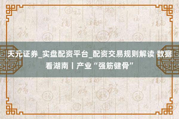 天元证券_实盘配资平台_配资交易规则解读 数据看湖南丨产业“强筋健骨”